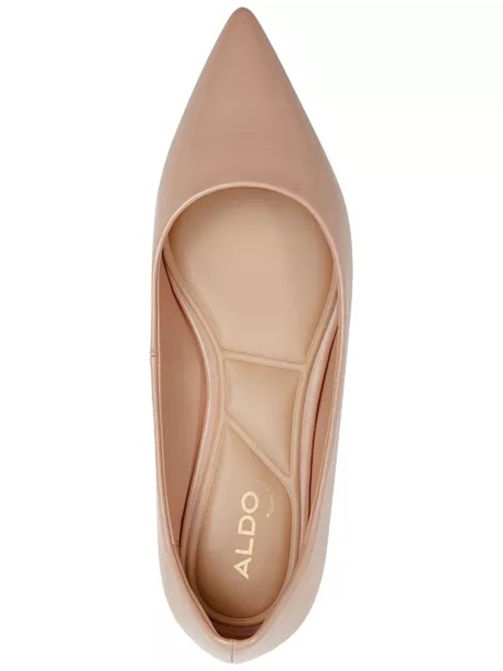 ALDO Blush Pointed-Toe Ballet Flat